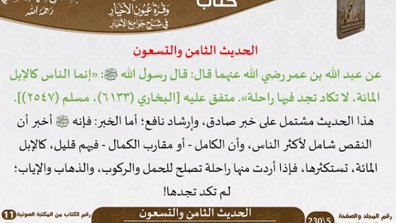 97 - الحديث الثامن والتسعون من كتاب بهجة قلوب الأبرار للشيخ السعدي - مشروع كبار العلماء