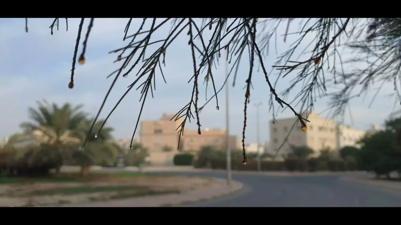 الدولة الأموية ( سنة 77 )  مقتل شبيب الخارجي