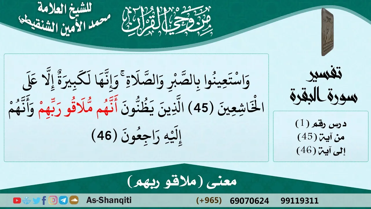 معنى (ملاقو ربهم) للشيخ الشنقيطي - مشروع كبار العلماء