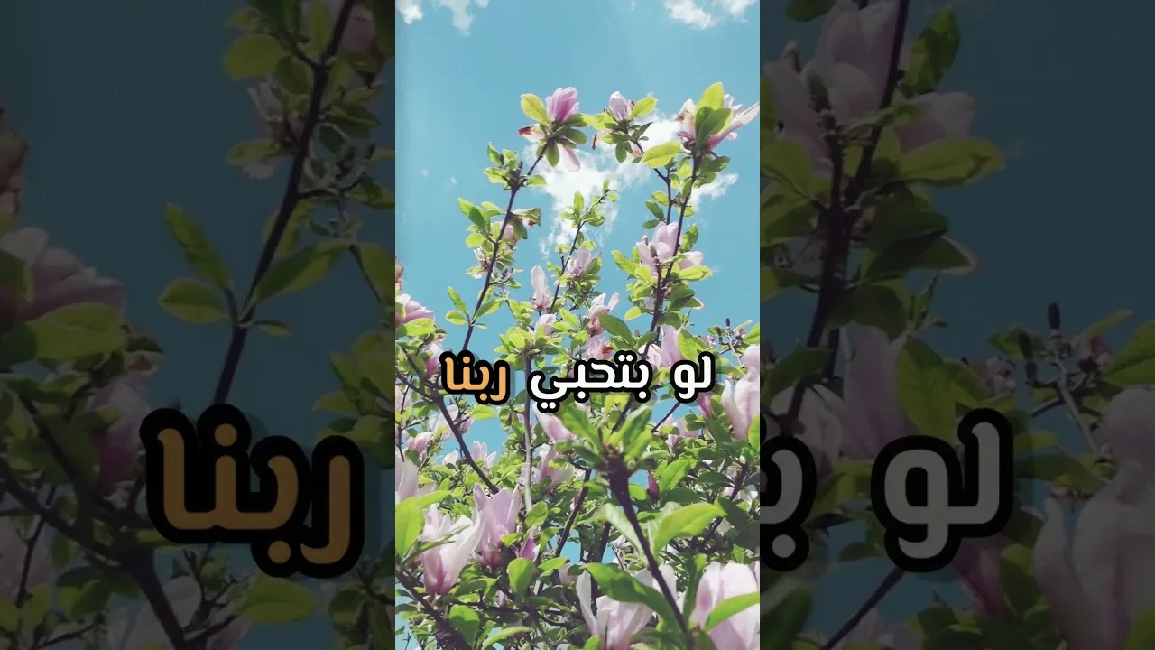 جربي تلبسي الحجاب | د . حازم شومان