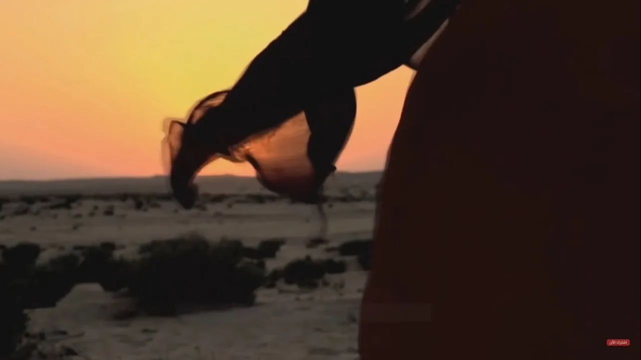 تعرفي أم كلثوم ؟! .. #لأنك_ملكة .. د . حازم شومان