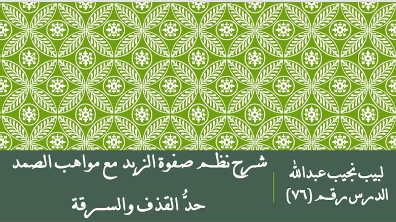 التعليق على نظم صفوة الزبد - 76 - كتاب الحدود - حد القدف والسرقة