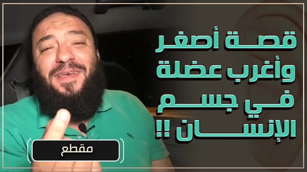 قصة أصغر و أغرب عضلة في جسم الإنسان ! | د . حازم شومان