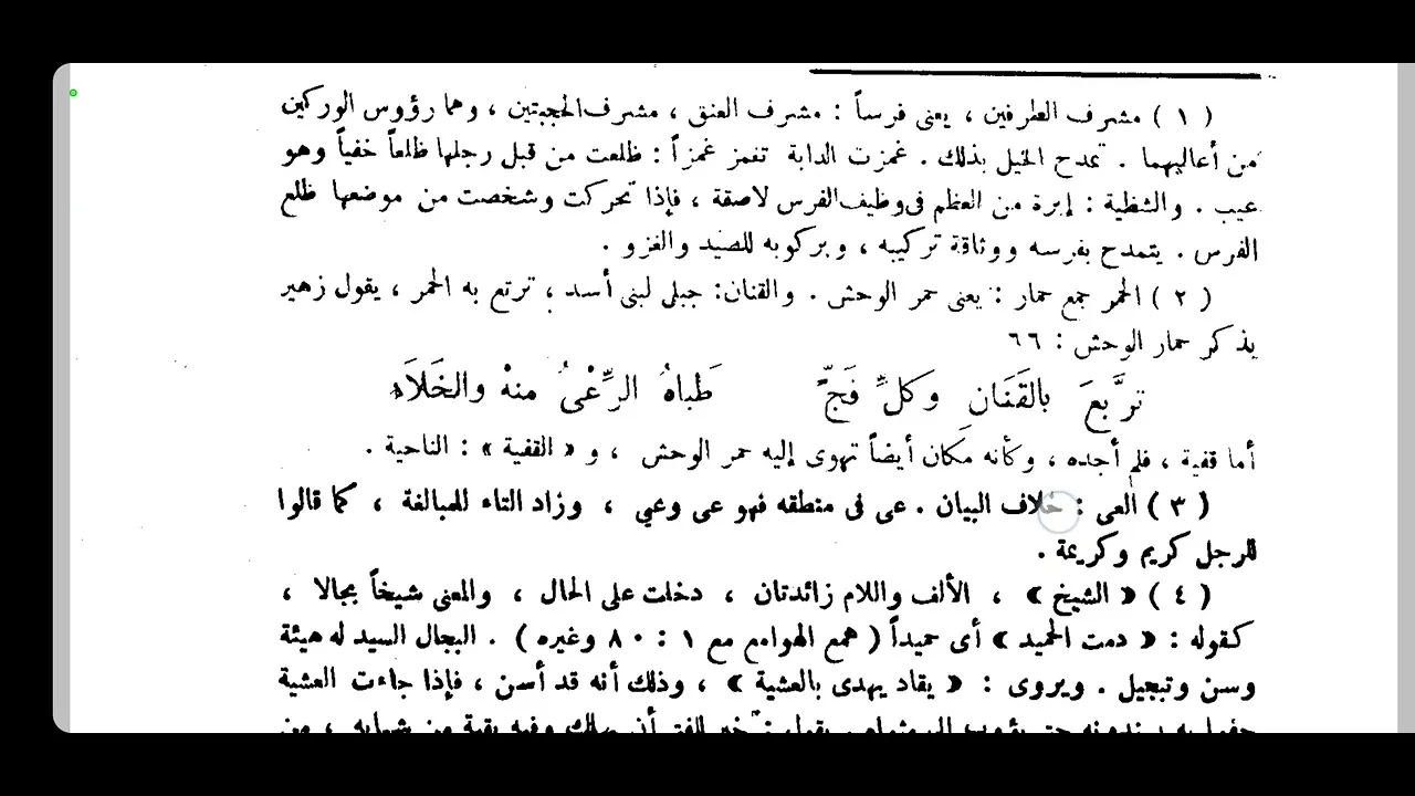 التعليق على طبقات فحول الشعراء [ 6 ]