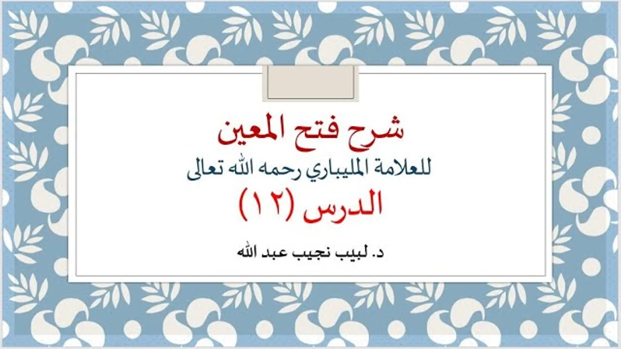 شرح فتح المعين للعلامة الفقيه المليباري - 12