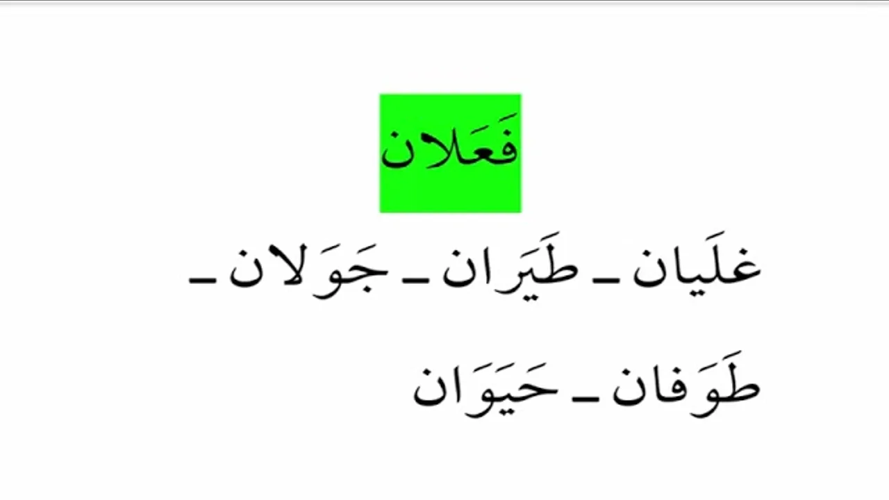 شرح  "المقصود "(76) / قياس الفعل  غير الصحيح على الصحيح