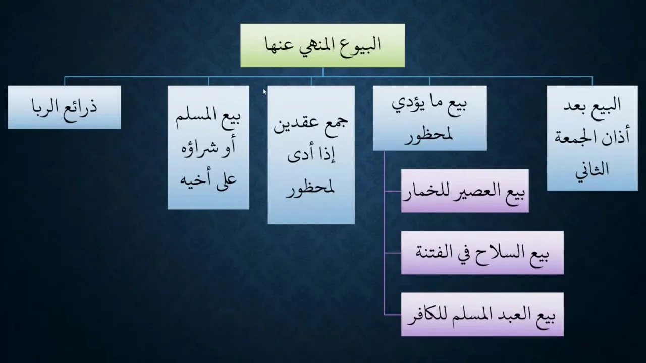 05شرح كتاب البيع من زاد المستقنع -  البيوع المنهي عنها  - الجامعة - عامر بهجت