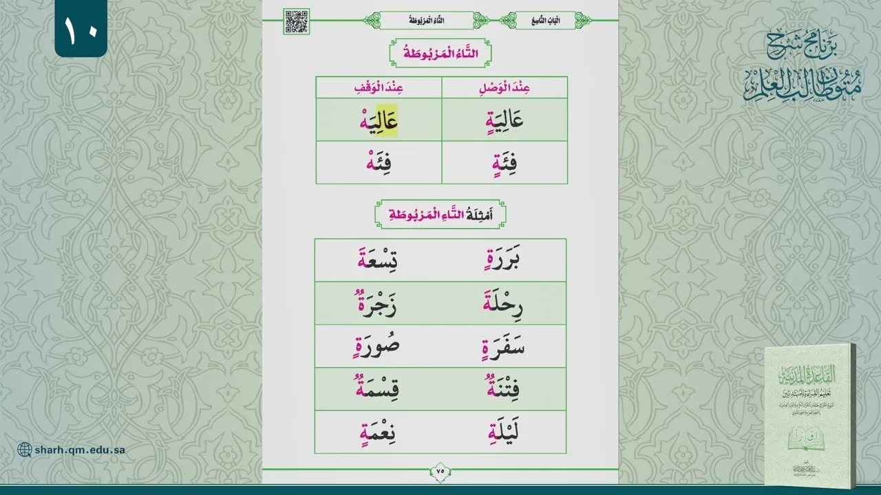 10 | دورة في القاعدة المدنية