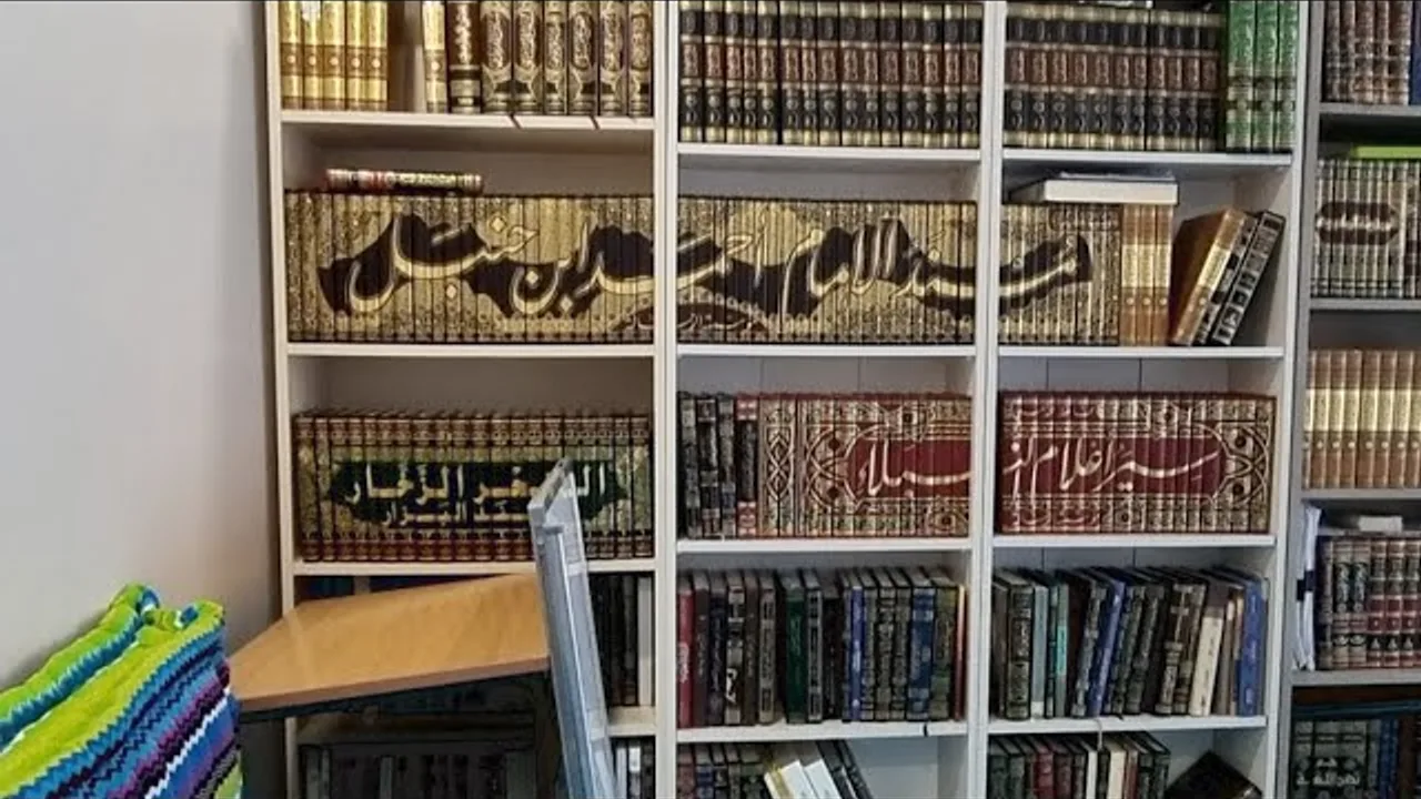 الآياتُ الجامعة في الإرادة والسعي والفلاح