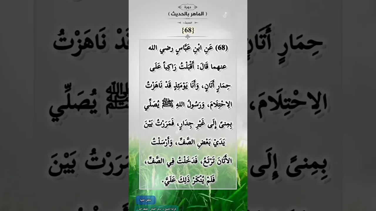 دورة (الماهرُ بالحديث) (68)