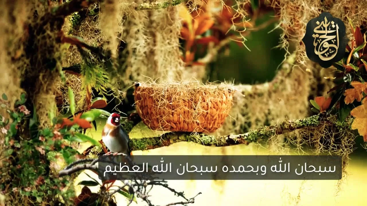 مقطع رائع : ولذكر الله أكبر | للشيخ الحويني