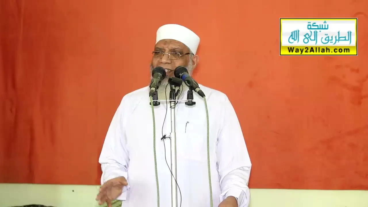 يوم الدين | الشيخ شوقي عبد الصادق