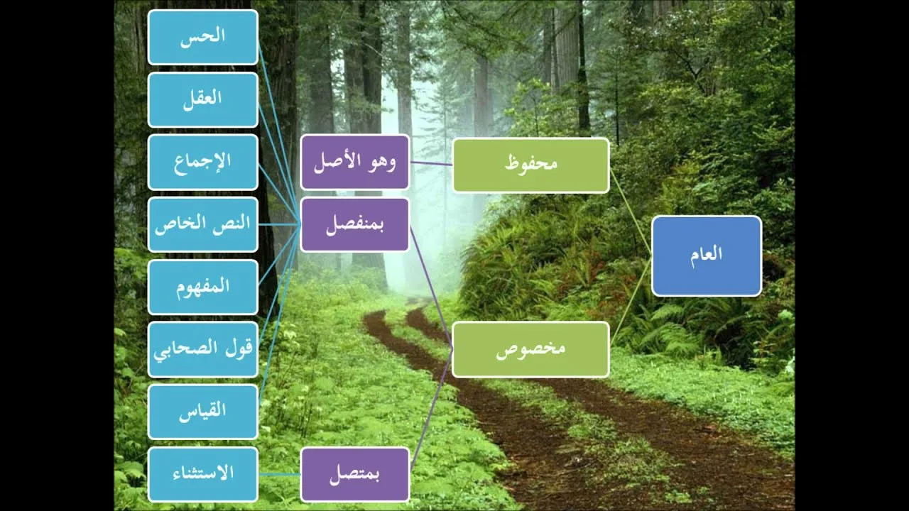 الطريق إلى علم أصول الفقه 4 من 5 - عامر بهجت