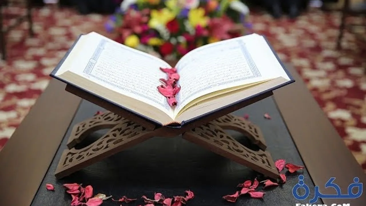 أركان المنهج النبوى فى التعامل مع القرآن الكريم ج2