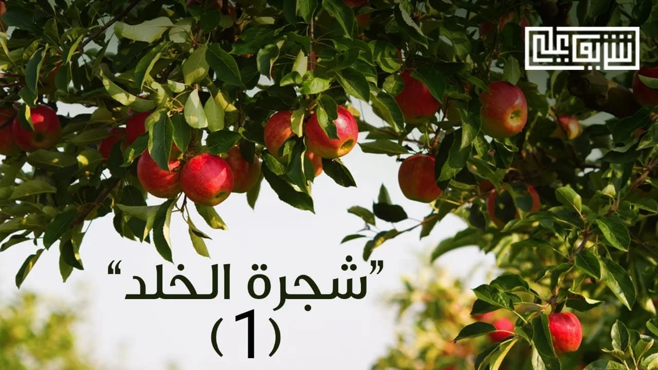 أصل العداوة (١) - شجرة الخلد - شريف علي