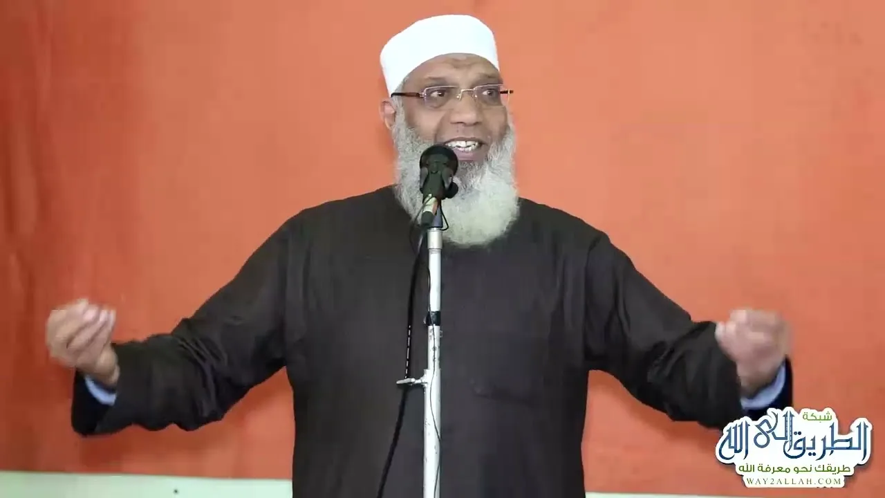 2 سفينة نوح عليه السلام | الشيخ شوقي عبد الصادق