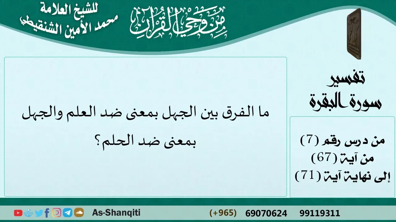 ما الفرق بين الجهل بمعنى ضد العلم والجهل بمعنى ضد الحلم؟ فتاوى الشنقيطي - مشروع كبار العلماء