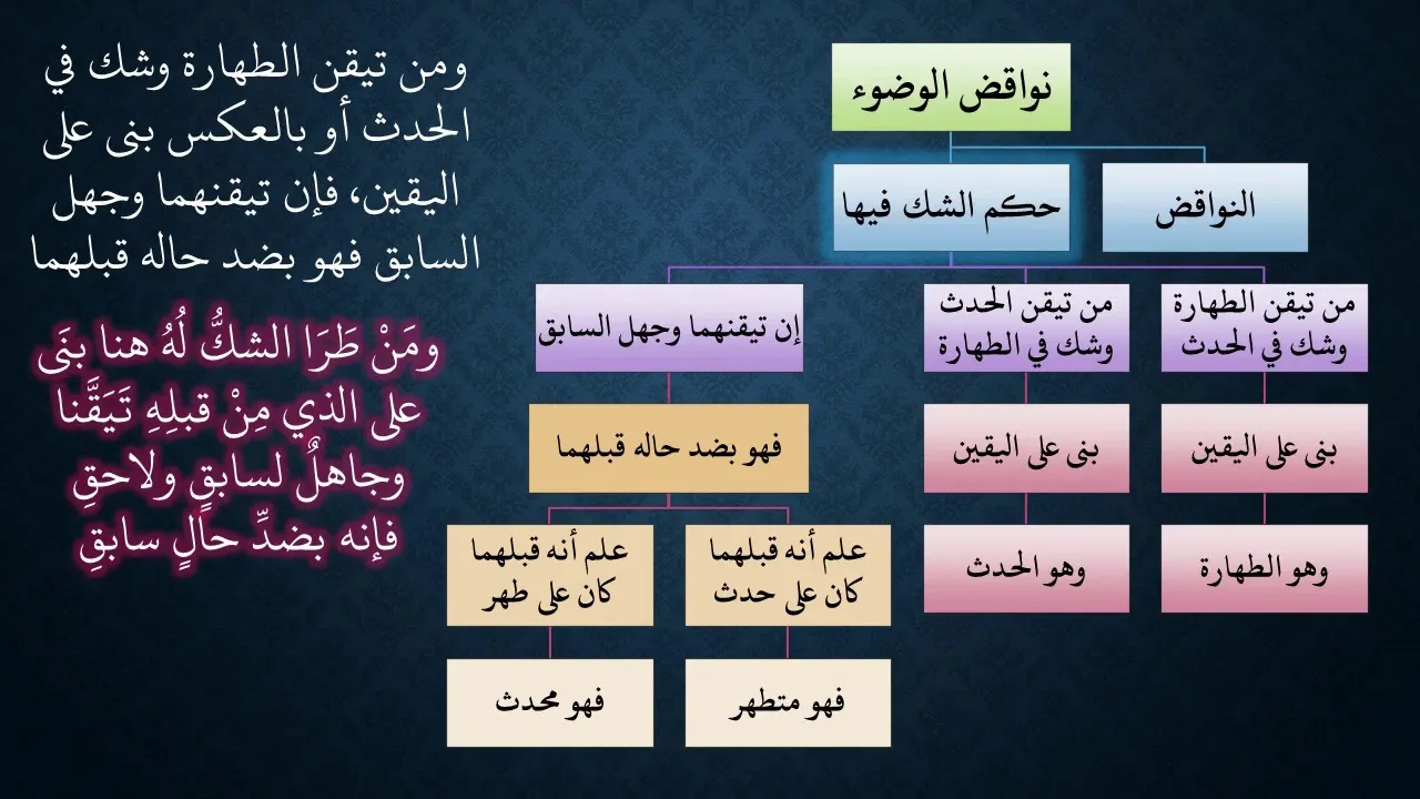 09شرح زاد المستقنع مع ملح الناد   باب الغسل   عامر بهجت