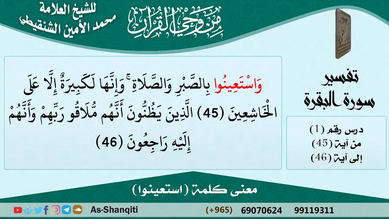 معنى كلمة (استعينوا) للشيخ الشنقيطي - مشروع كبار العلماء