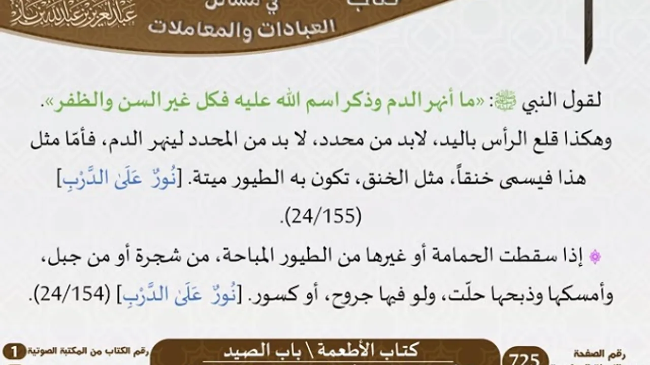 126-باب الصيد [كتاب الأطعمة] من الاختيارات الفقهية لابن باز - كبار العلماء