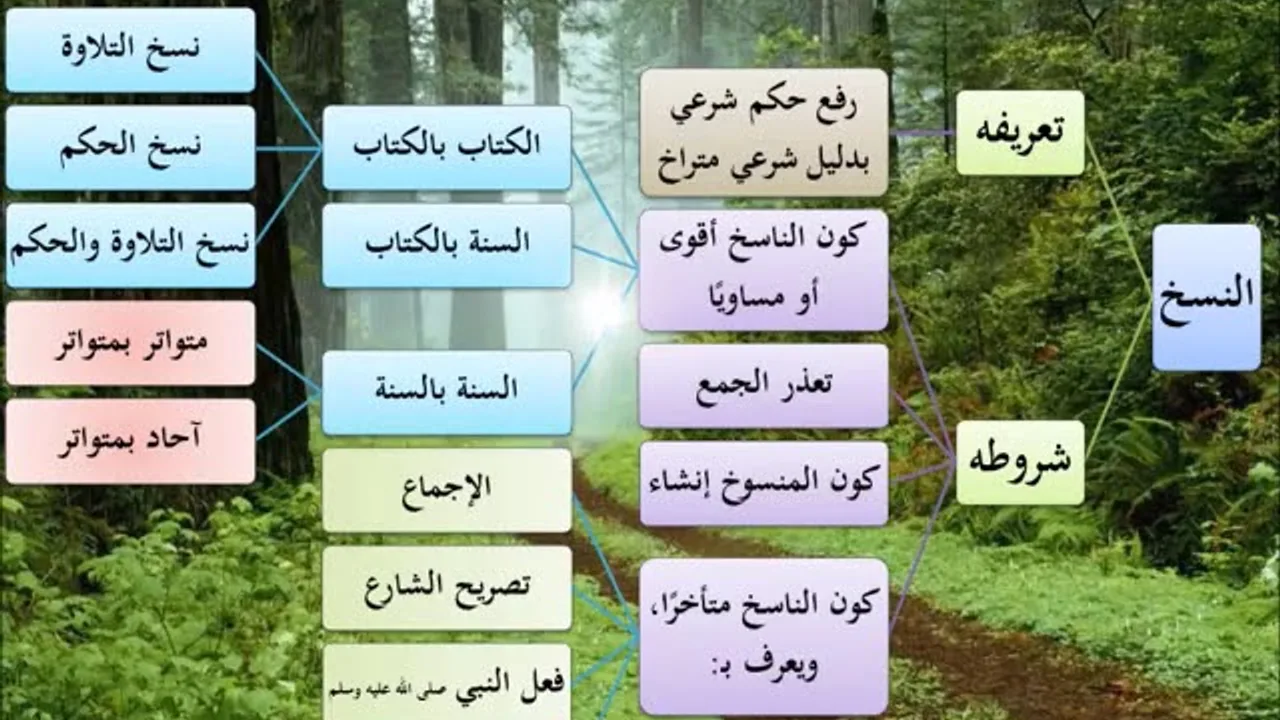 المدخل إلى علم أصول الفقه 2/9 - عامر بهجت