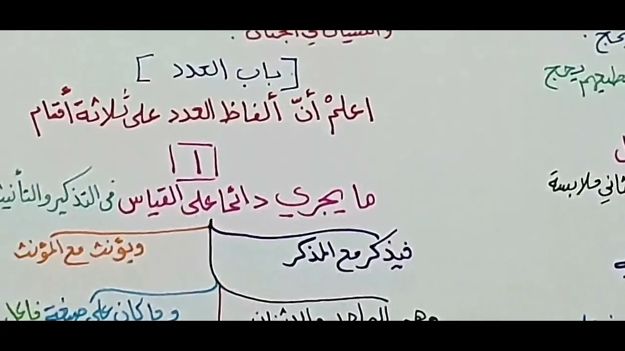 شرح قطر الندى ( 5-البدل - العدد ) 38