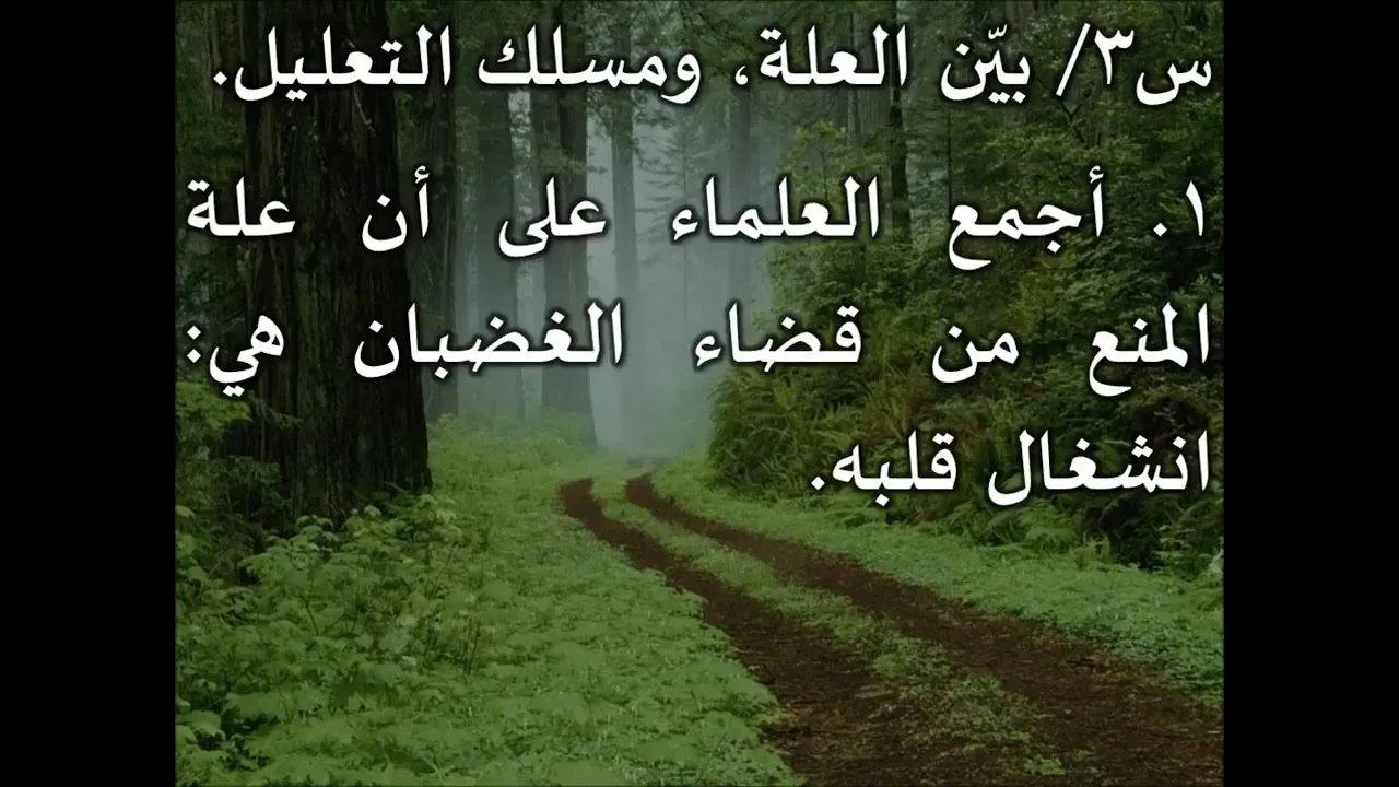 المدخل إلى علم أصول الفقه 8/9 - عامر بهجت