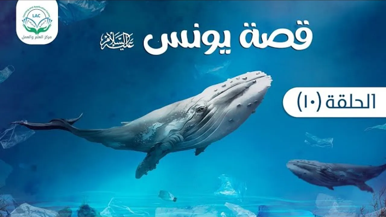 منهجيات في اتخاذ القرار | دراسة تدبرية لقصة سيدنا يونس 10 | د.شريف طه يونس