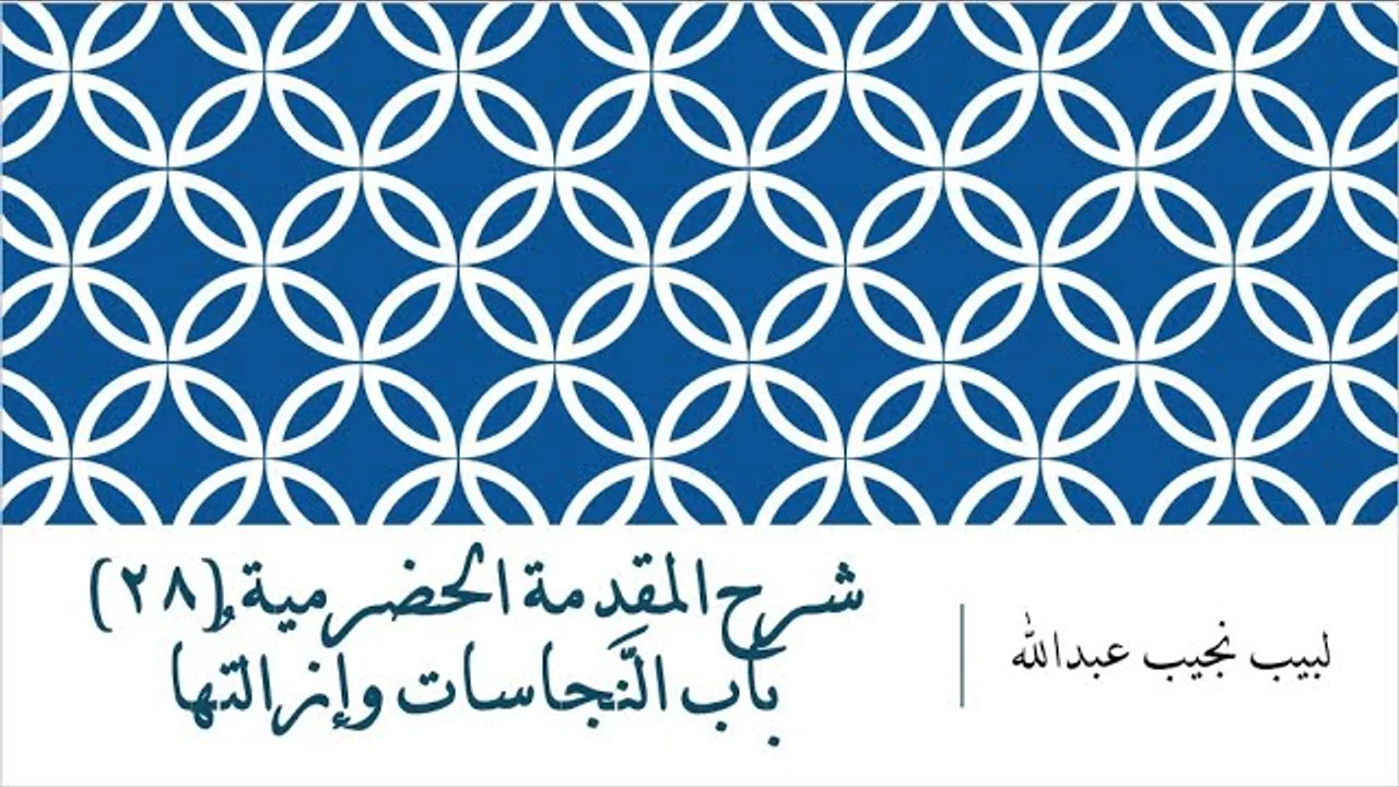 شرح المقدمة الحضرمية - 28 [النجاسات وإزالتها]