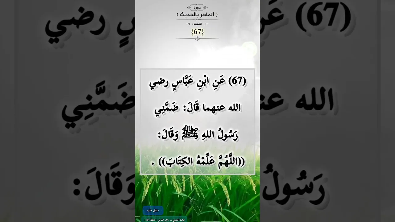 دورة (الماهرُ بالحديث) (67)