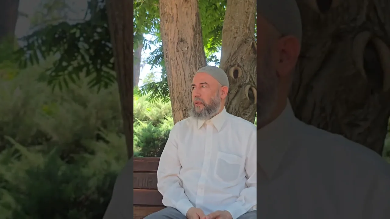 بين آيات القرآن ودلائل الخلق في سورة الأنعام
