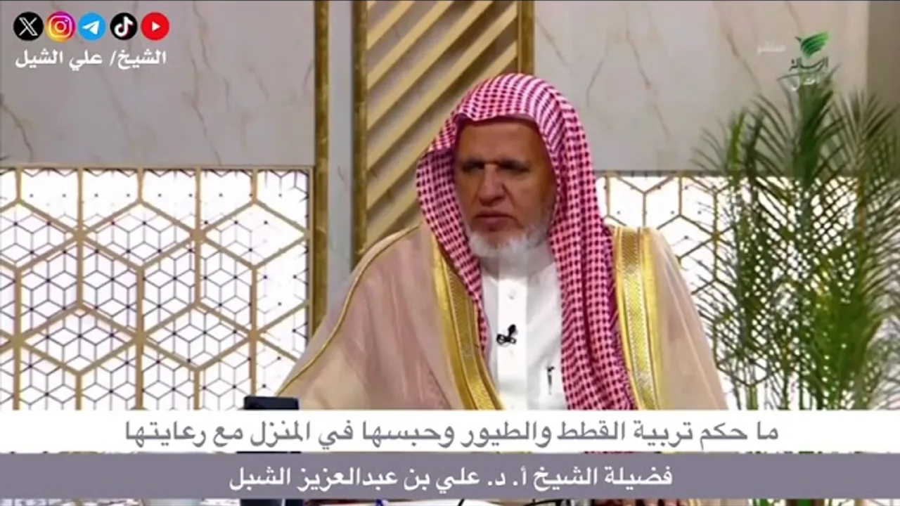 أ.د. علي الشبل | ما حكم تربية القطط والطيور وحبسها في المنزل مع رعايتها