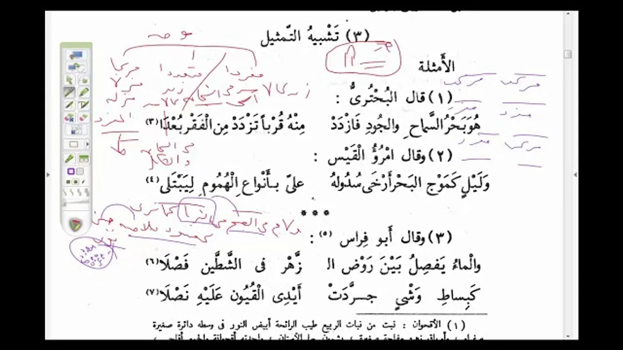البلاغة الواضحة ( 10)  التشبيه التمثيلي