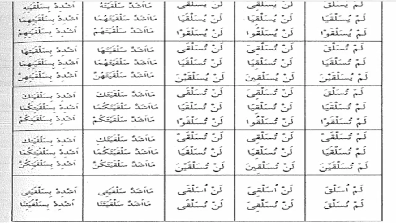شرح  "المقصود في عِلْمِ التَّصْريفِ "(42) تكميل تصريف (سلقى)