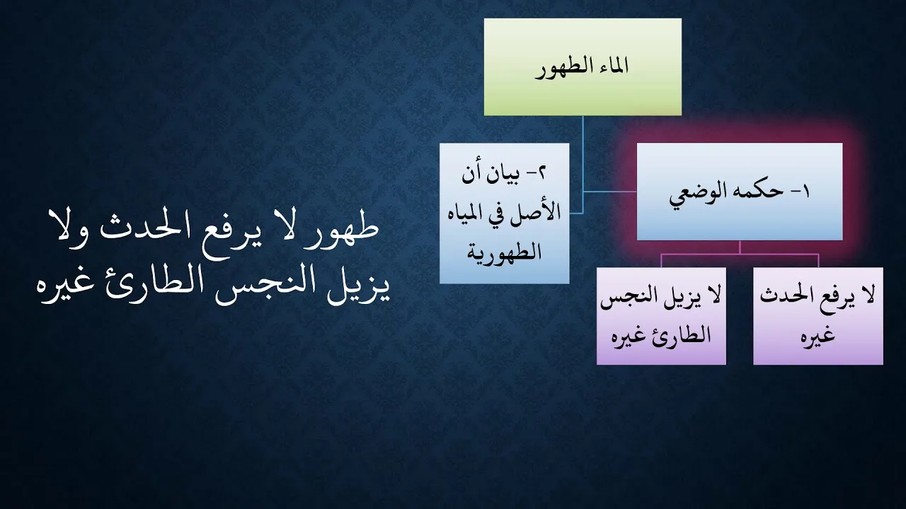 02شرح زاد المستقنع مع ملح الناد   باب المياه   عامر بهجت