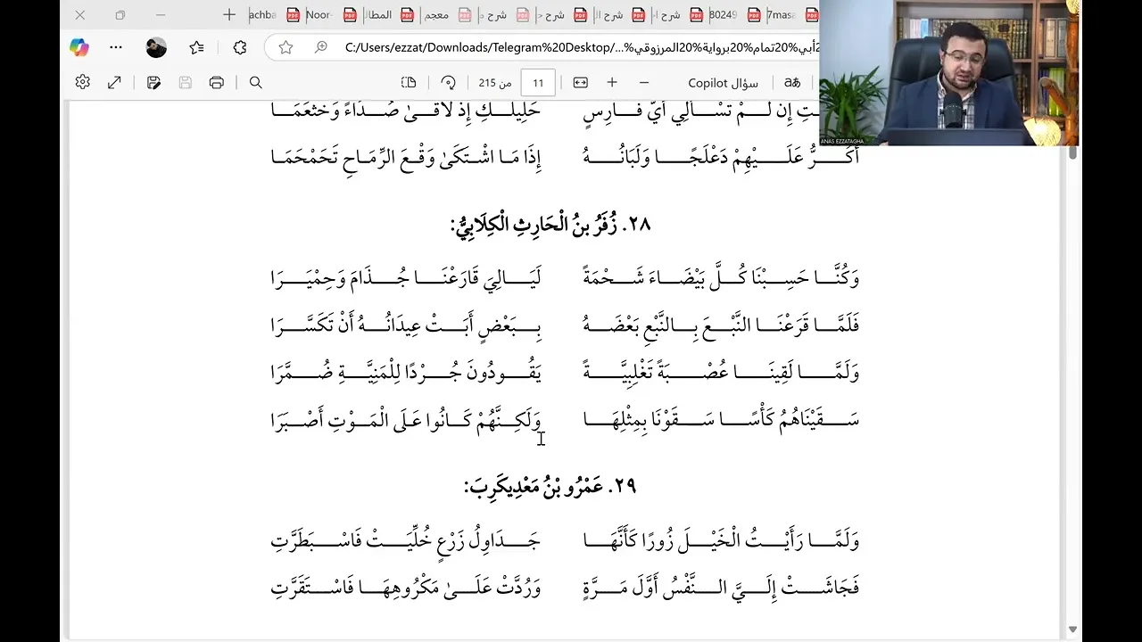 المجلس الثامن والثلاثون في التعليق على ديوان الحماسة - (ولما رأيت الخيلَ زُورًا كأنها)