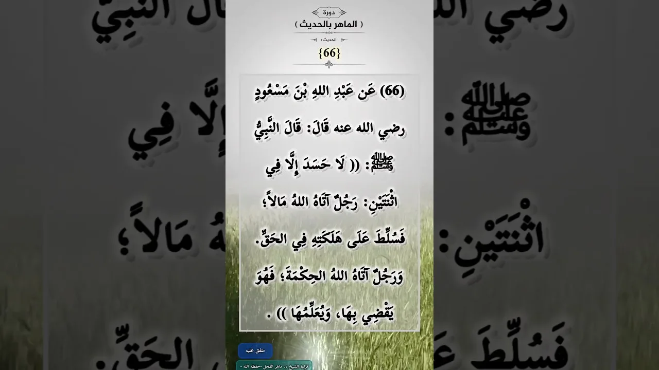 دورة (الماهرُ بالحديث) (66)