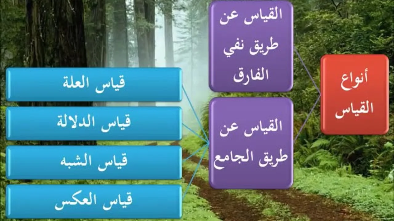 المدخل إلى علم أصول الفقه 7/9 - عامر بهجت