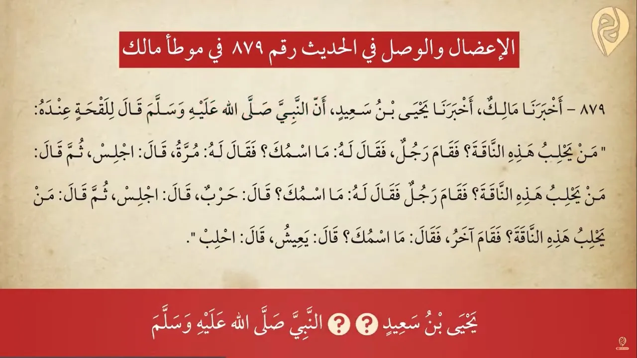 الإعضال والوصل في الحديث 879 | وقف ووصل الحديث 887 في موطأ مالك | الشيخ د. مصطفى مخدوم