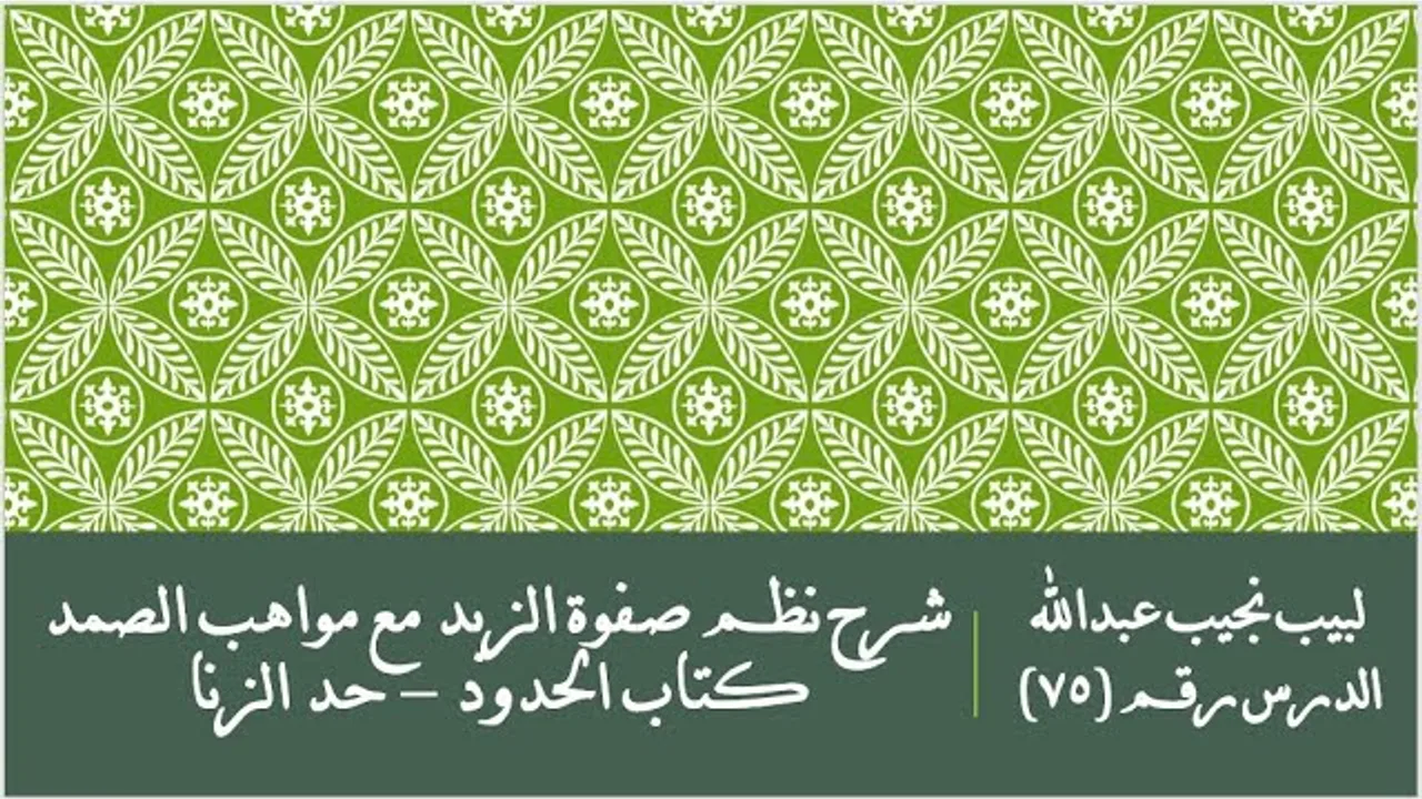 التعليق على نظم صفوة الزبد - 75 - كتاب الحدود - حد الزنا