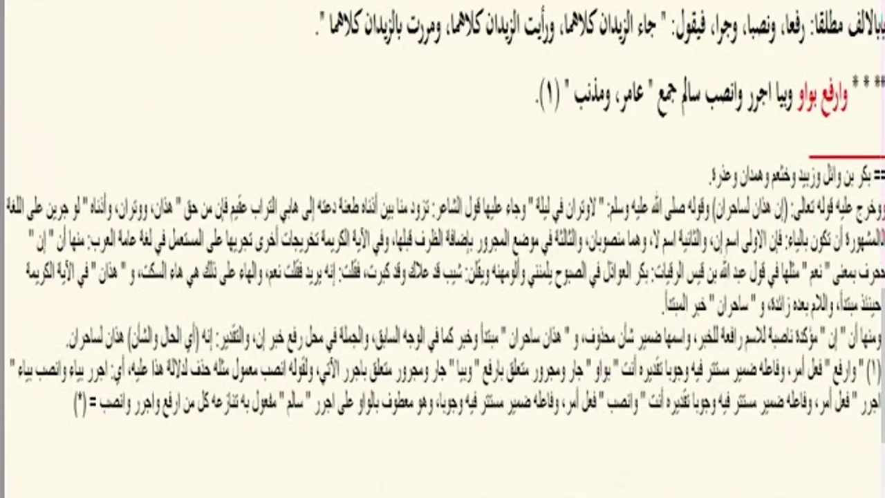 جمع المذكر السالم (21) ـ شرح ابن عقيل على الألفية / علي هاني