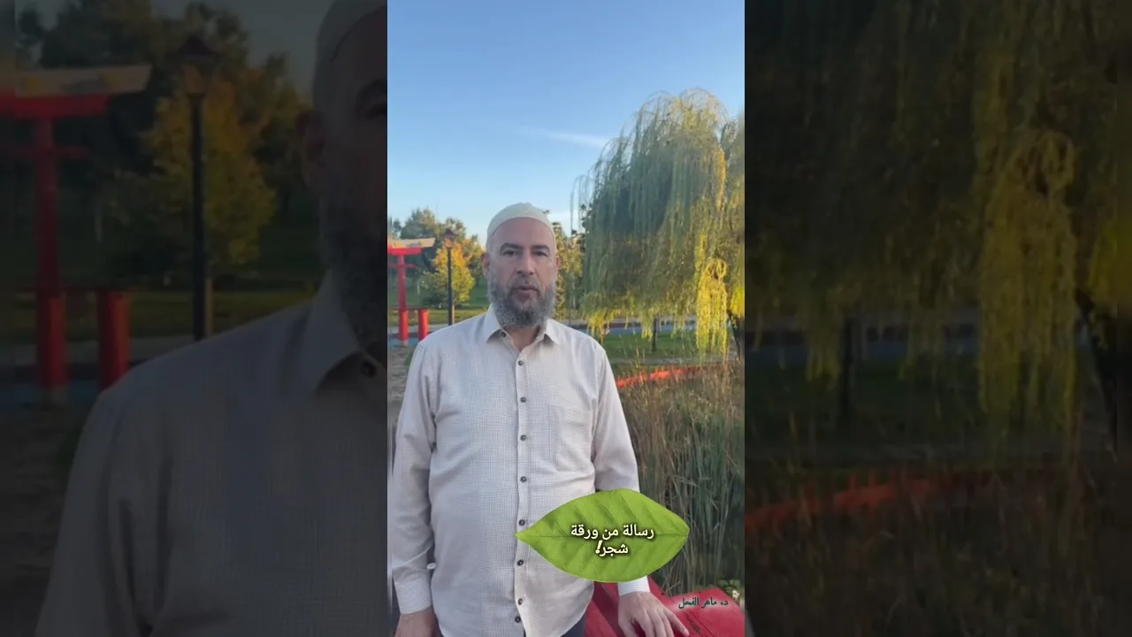 رسالة من ورقة شجر !
