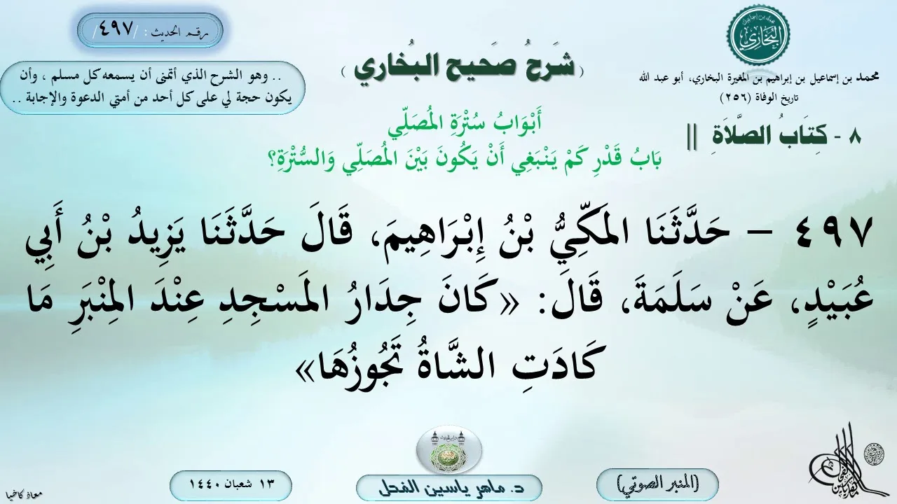 497 - شرح صحيح البخاري : باب قدر كم ينبغي أن يكون بين المصلي والسترة ؟ الحديث 497 ||ماهر ياسين الفحل