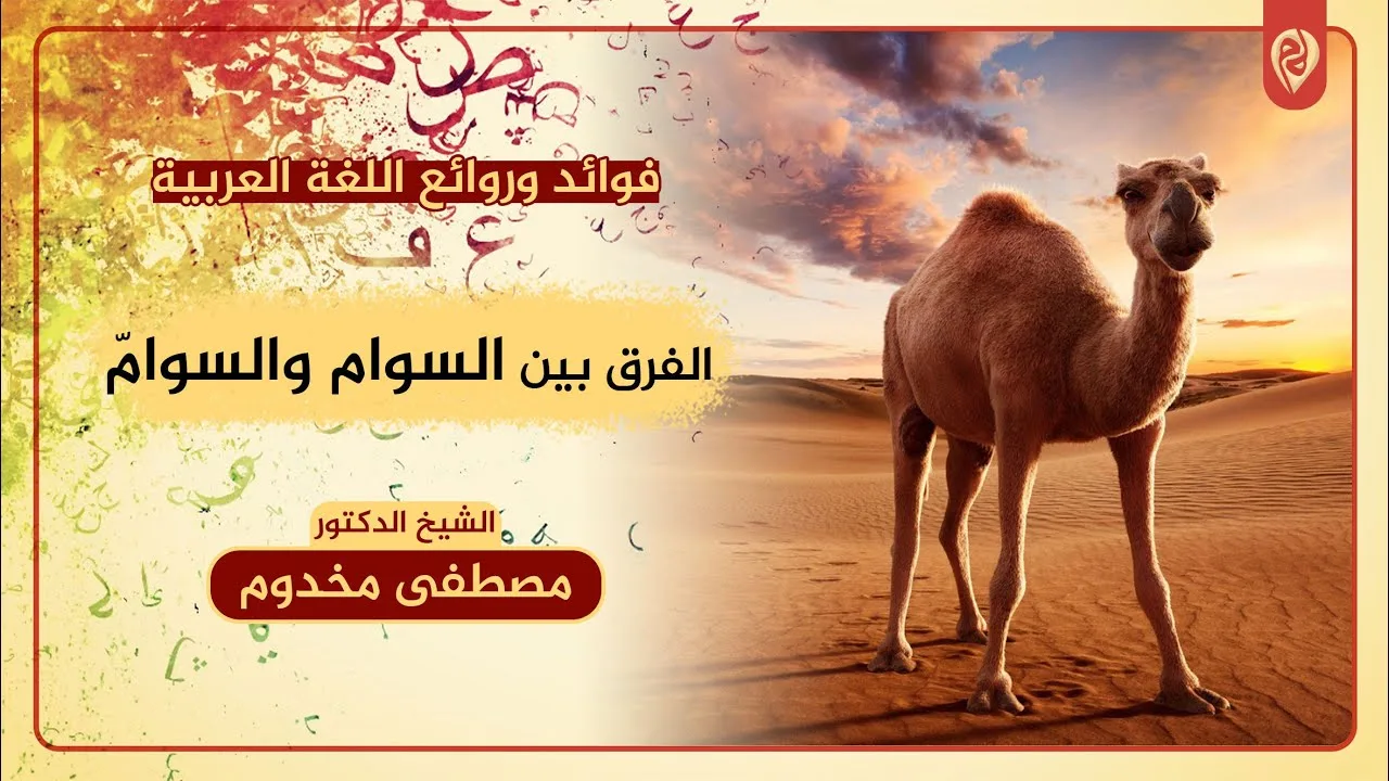 الفرق بين السوام والسوامّ | فوائد وروائع اللغة العربية | د. مصطفى مخدوم