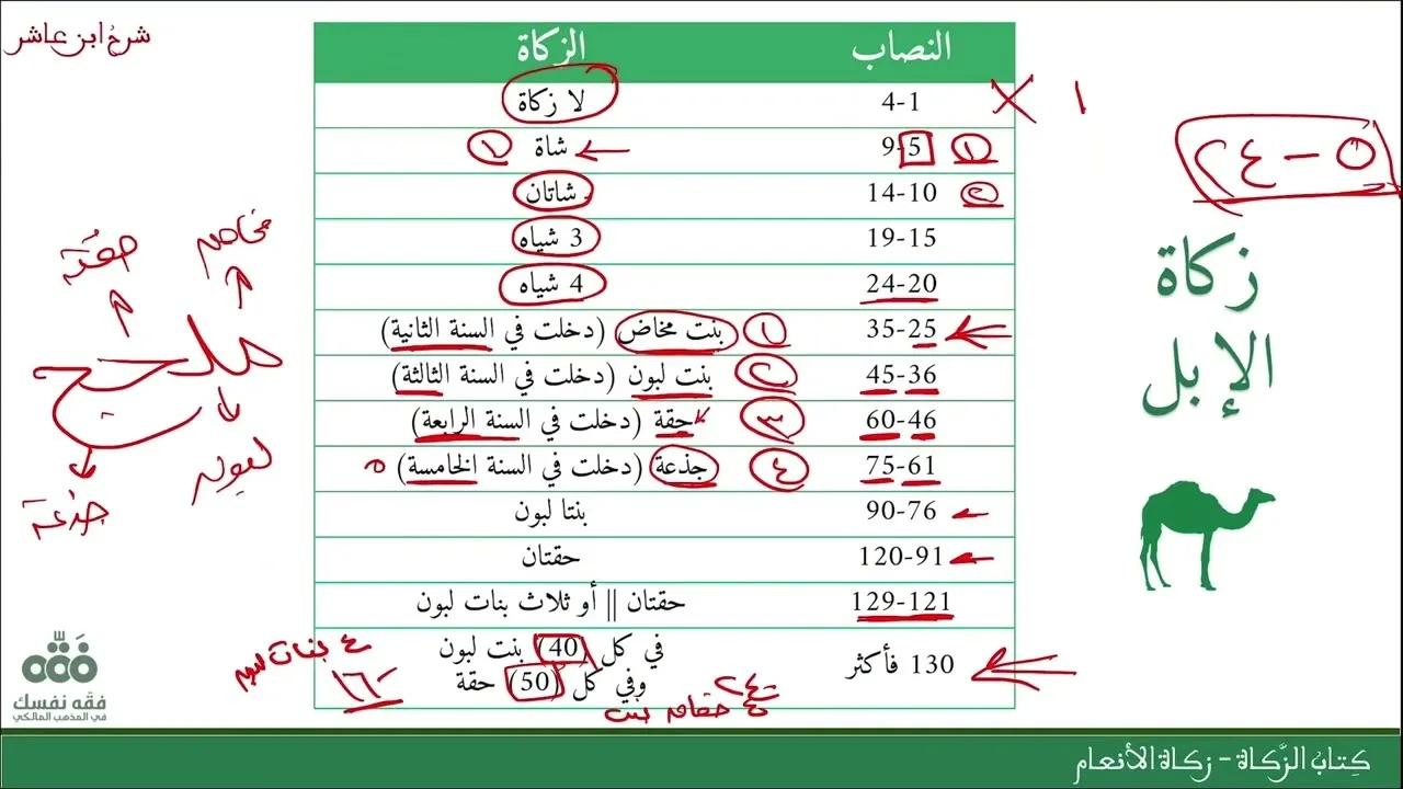 (29) زكاة الأنعام - الإبل والبقر والغنم | كتاب الزكاة | شرح ابن عاشر | نايف آل الشيخ مبارك