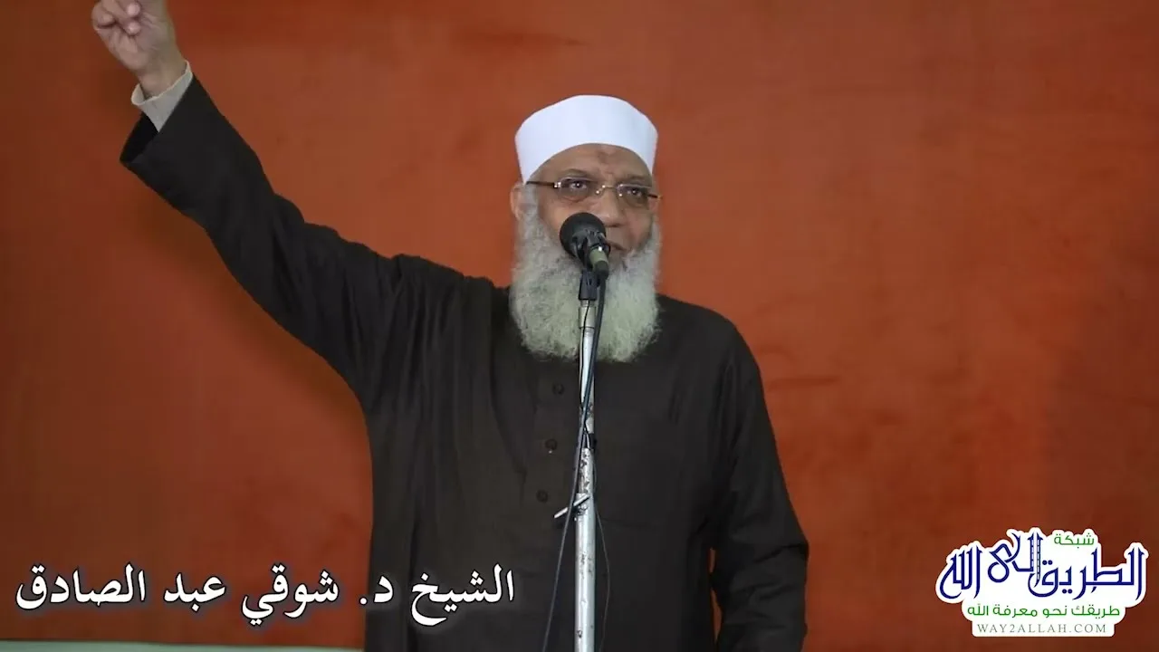 11 كيد الله ليوسف مع إخوته | الشيخ شوقي عبد الصادق