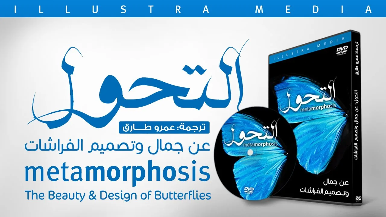 التحول: عن جمال وتصميم الفراشات