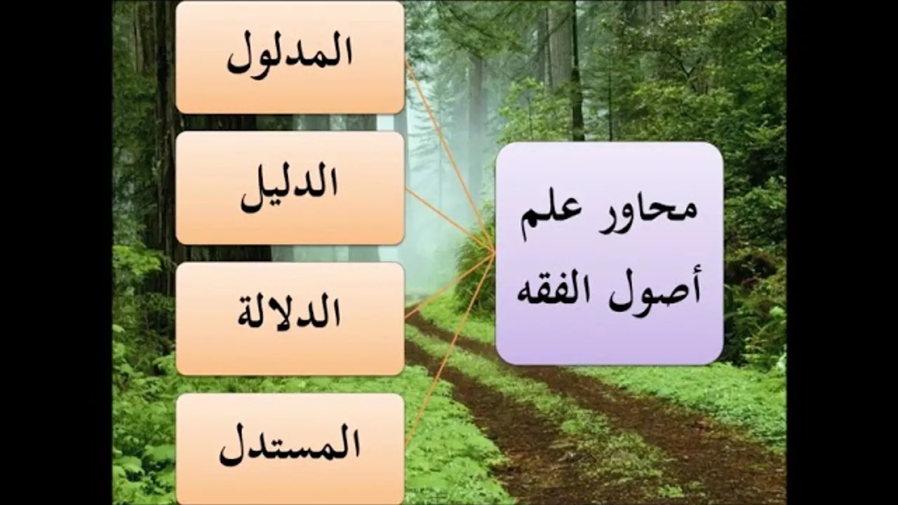 المدخل إلى علم أصول الفقه 1/9 - عامر بهجت