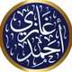 غازي أحمد
