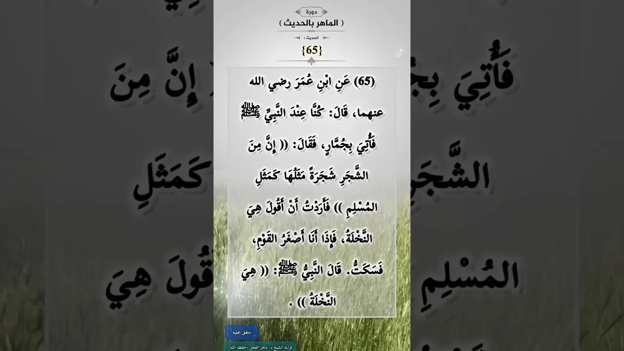 دورة (الماهرُ بالحديث) (65)
